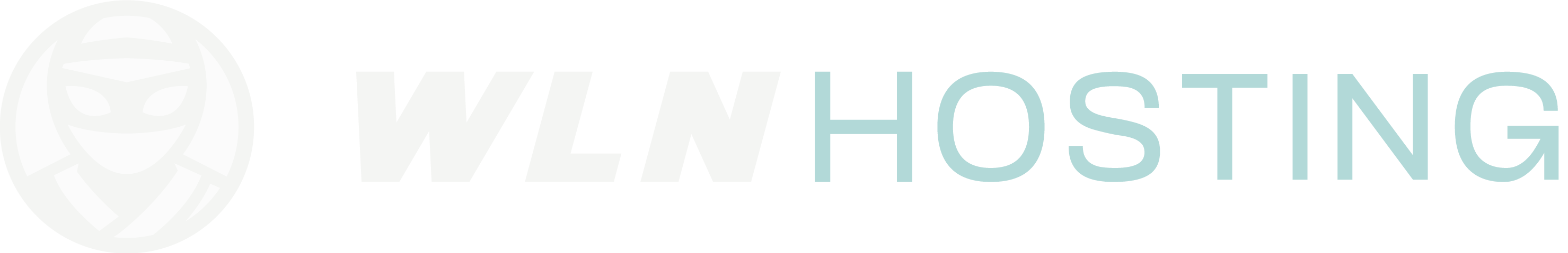 WLN Hosting Logo of WLN Hosting with a large white circle to the left and "WLN HOSTING" text in capital letters to the right. The text "WLN" is bold and white, while "HOSTING" is light blue, representing their commitment to fast WordPress Hosting. WordPress Hosting